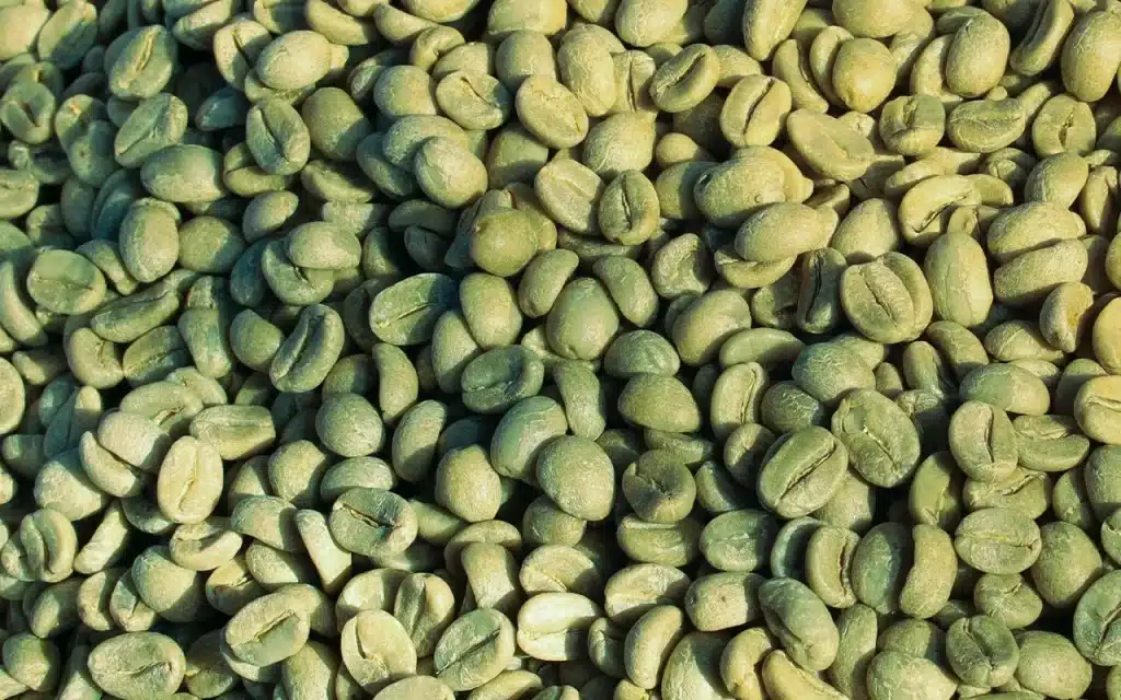 green coffee beans