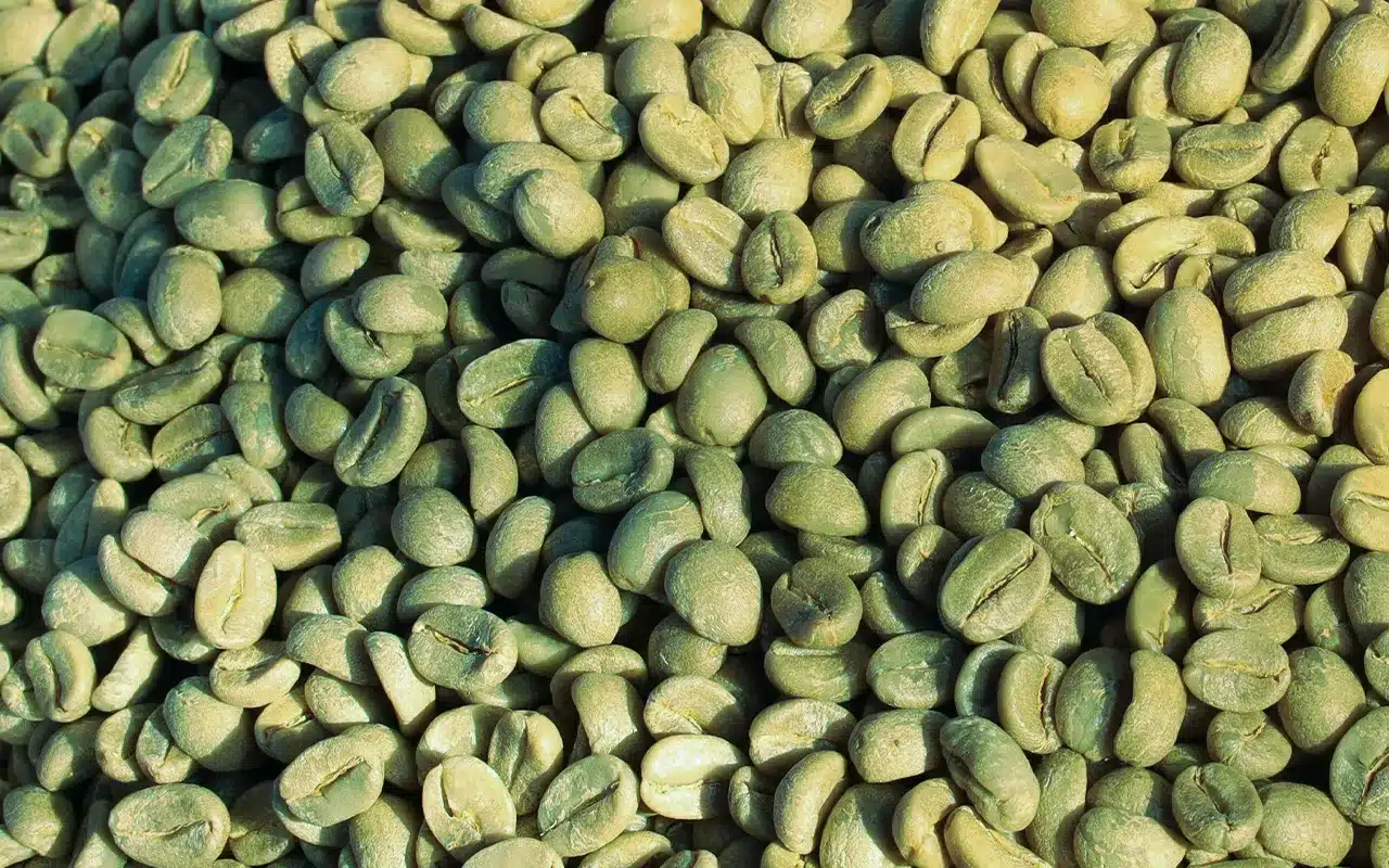 green coffee beans
