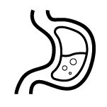 gut health icon
