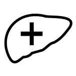 liver health icon