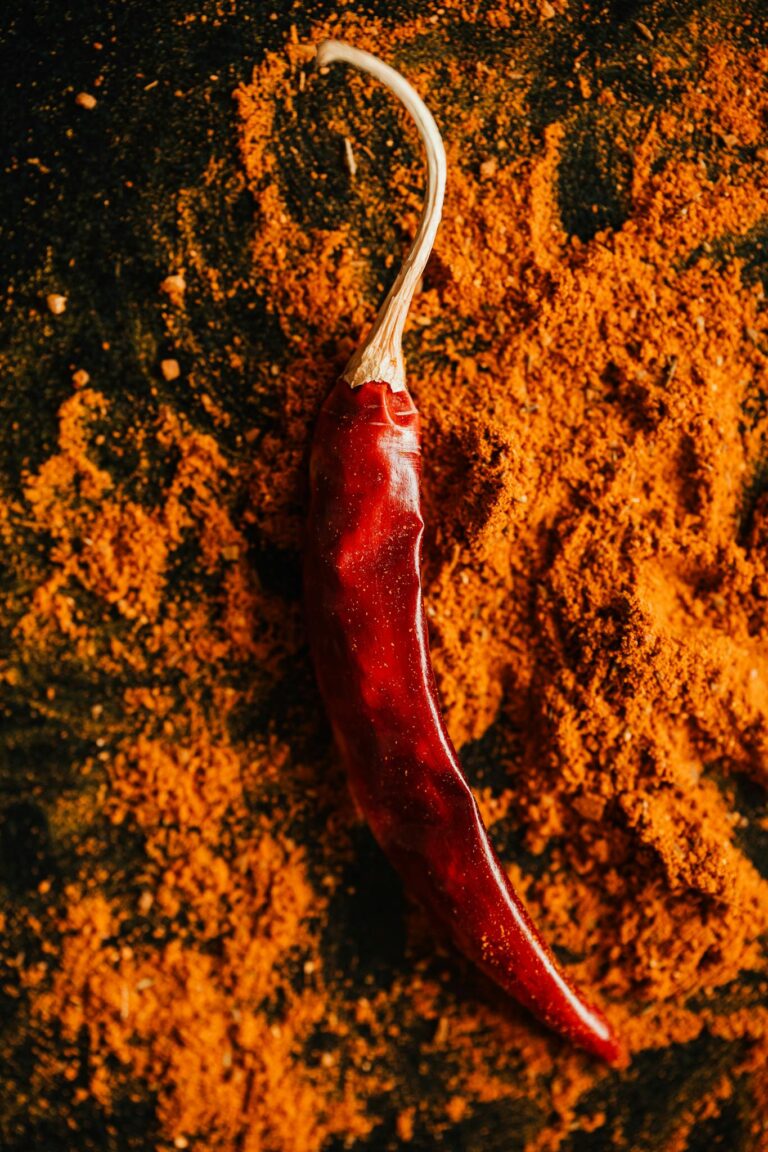Dried red chili pepper on a bed of ground chili powder