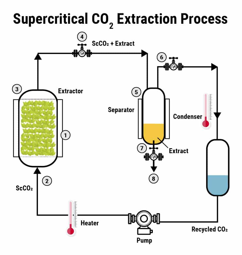 scco2 labeled process