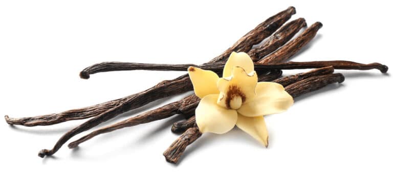 vanilla flower bean pods