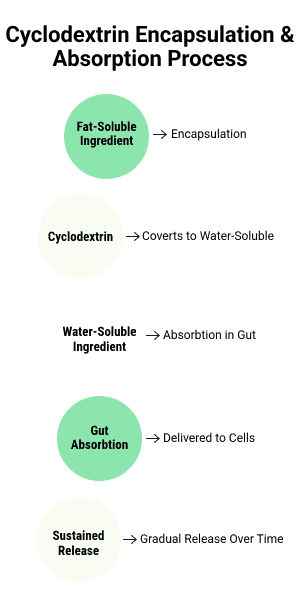 cyclodextrin absorption process